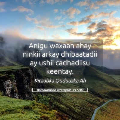 Picture 05 - Baroorashadii Yeremyaah 3:1 SOM - Anigu waxaan ahay ninkii arkay dhibaatadii ay - Bible Verse Picture