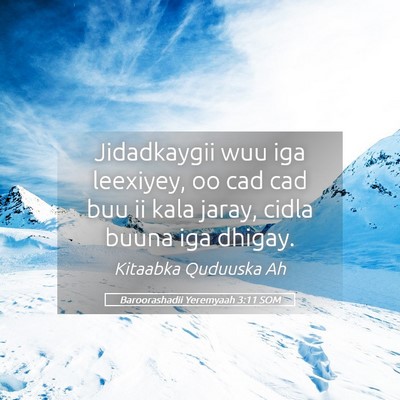 Picture 05 - Baroorashadii Yeremyaah 3:11 SOM - Jidadkaygii wuu iga leexiyey, oo cad cad buu ii - Bible Verse Picture