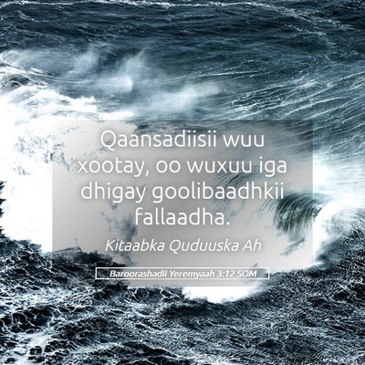Picture 05 - Baroorashadii Yeremyaah 3:12 SOM - Qaansadiisii wuu xootay, oo wuxuu iga dhigay - Bible Verse Picture