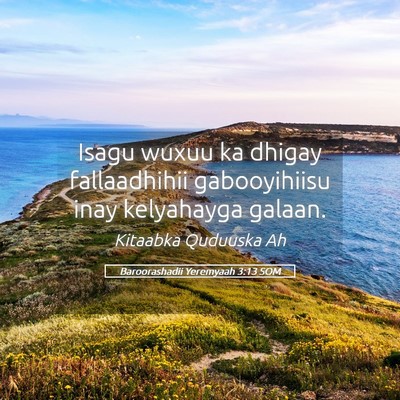 Picture 05 - Baroorashadii Yeremyaah 3:13 SOM - Isagu wuxuu ka dhigay fallaadhihii gabooyihiisu - Bible Verse Picture
