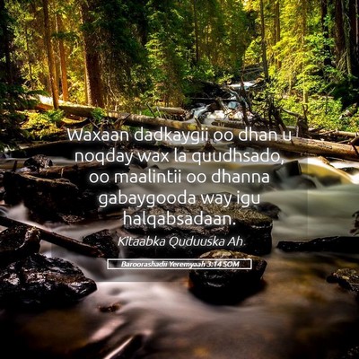 Picture 05 - Baroorashadii Yeremyaah 3:14 SOM - Waxaan dadkaygii oo dhan u noqday wax la - Bible Verse Picture