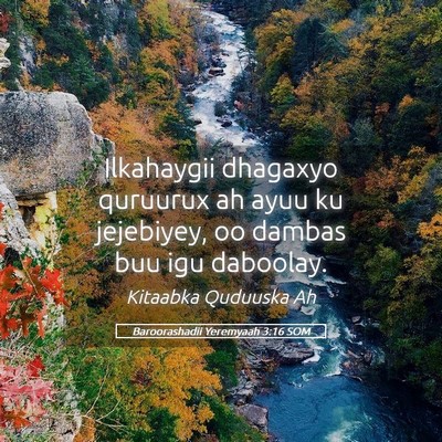Picture 05 - Baroorashadii Yeremyaah 3:16 SOM - Ilkahaygii dhagaxyo quruurux ah ayuu ku - Bible Verse Picture