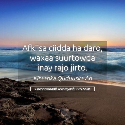 Picture 05 - Baroorashadii Yeremyaah 3:29 SOM - Afkiisa ciidda ha daro, waxaa suurtowda inay rajo - Bible Verse Picture
