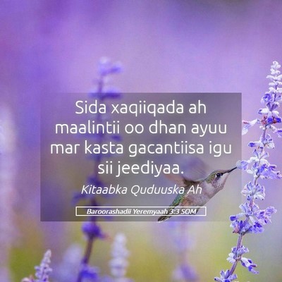 Picture 05 - Baroorashadii Yeremyaah 3:3 SOM - Sida xaqiiqada ah maalintii oo dhan ayuu mar - Bible Verse Picture