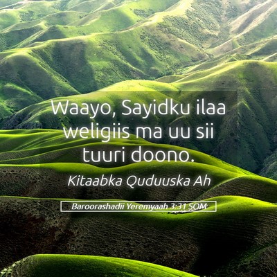 Picture 05 - Baroorashadii Yeremyaah 3:31 SOM - Waayo, Sayidku ilaa weligiis ma uu sii tuuri - Bible Verse Picture