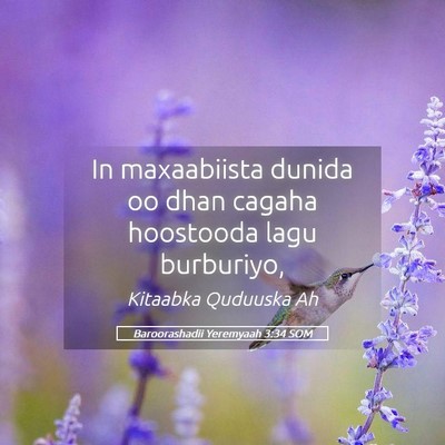 Picture 05 - Baroorashadii Yeremyaah 3:34 SOM - In maxaabiista dunida oo dhan cagaha hoostooda - Bible Verse Picture