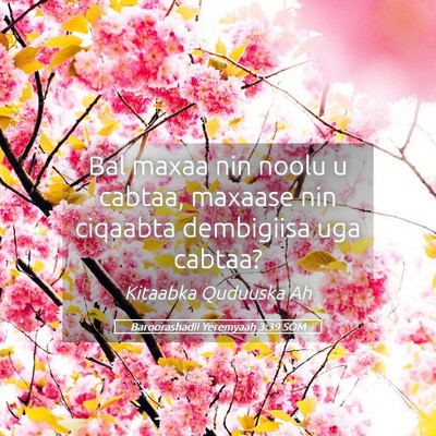 Picture 05 - Baroorashadii Yeremyaah 3:39 SOM - Bal maxaa nin noolu u cabtaa, maxaase nin - Bible Verse Picture