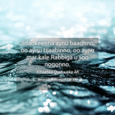 Picture 05 - Baroorashadii Yeremyaah 3:40 SOM - Jidadkeenna aynu baadhno, oo aynu tijaabinno, oo - Bible Verse Picture