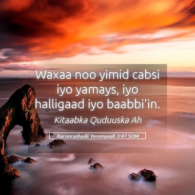 Picture 05 - Baroorashadii Yeremyaah 3:47 SOM - Waxaa noo yimid cabsi iyo yamays, iyo halligaad - Bible Verse Picture