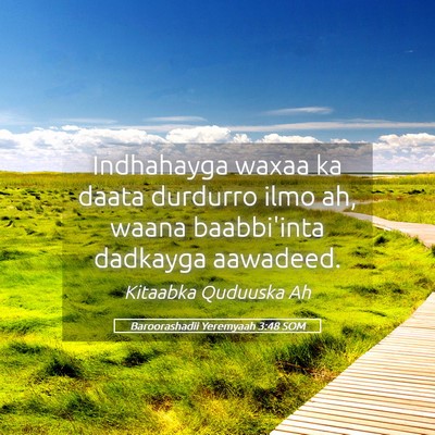 Picture 05 - Baroorashadii Yeremyaah 3:48 SOM - Indhahayga waxaa ka daata durdurro ilmo ah, waana - Bible Verse Picture