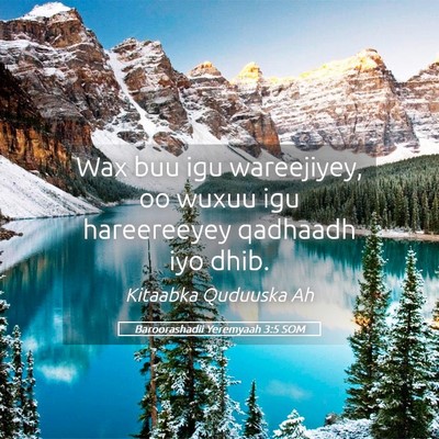 Picture 05 - Baroorashadii Yeremyaah 3:5 SOM - Wax buu igu wareejiyey, oo wuxuu igu hareereeyey - Bible Verse Picture