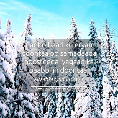 Picture 05 - Baroorashadii Yeremyaah 3:66 SOM - Cadho baad ku eryan doontaa oo samadaada - Bible Verse Picture