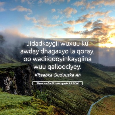 Picture 05 - Baroorashadii Yeremyaah 3:9 SOM - Jidadkaygii wuxuu ku awday dhagaxyo la qoray, oo - Bible Verse Picture