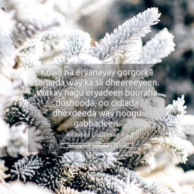 Picture 05 - Baroorashadii Yeremyaah 4:19 SOM - Kuwii na eryanayay gorgorka samada way ka sii - Bible Verse Picture