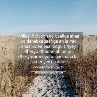 Picture 05 - Baroorashadii Yeremyaah 4:2 SOM - Wiilashii Siyoon ee qaaliga ahaa oo dahabka - Bible Verse Picture