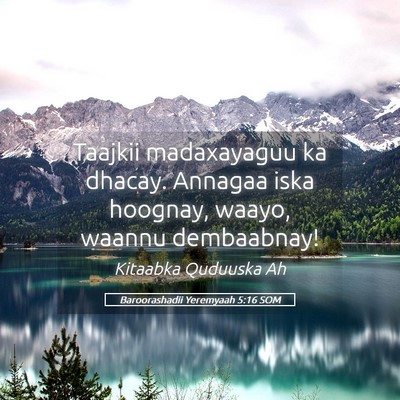 Picture 05 - Baroorashadii Yeremyaah 5:16 SOM - Taajkii madaxayaguu ka dhacay. Annagaa iska - Bible Verse Picture