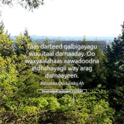 Picture 05 - Baroorashadii Yeremyaah 5:17 SOM - Taas darteed qalbigayagu wuu itaal darnaaday. Oo - Bible Verse Picture