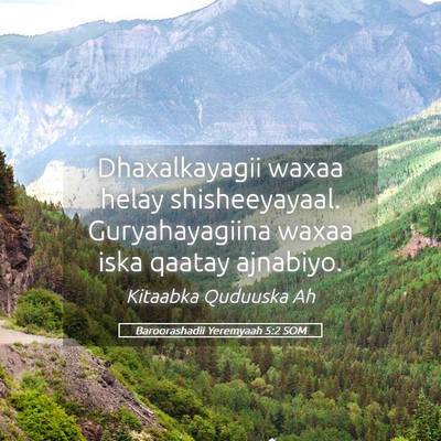 Picture 05 - Baroorashadii Yeremyaah 5:2 SOM - Dhaxalkayagii waxaa helay shisheeyayaal. - Bible Verse Picture