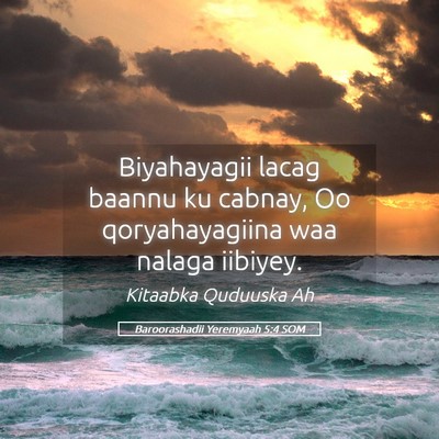 Picture 05 - Baroorashadii Yeremyaah 5:4 SOM - Biyahayagii lacag baannu ku cabnay, Oo - Bible Verse Picture