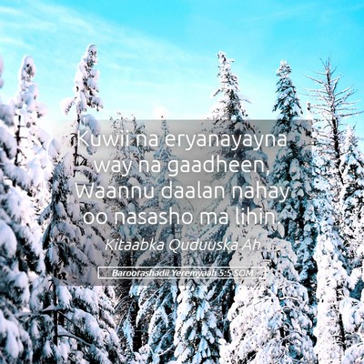 Picture 05 - Baroorashadii Yeremyaah 5:5 SOM - Kuwii na eryanayayna way na gaadheen, Waannu - Bible Verse Picture