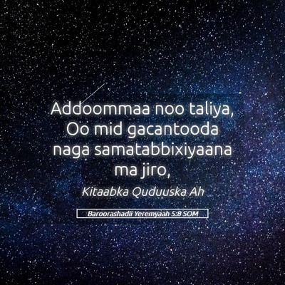 Picture 05 - Baroorashadii Yeremyaah 5:8 SOM - Addoommaa noo taliya, Oo mid gacantooda naga - Bible Verse Picture