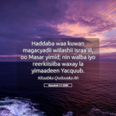 Picture 05 - Baxniintii 1:1 SOM - Haddaba waa kuwan magacyadii wiilashii Israa'iil, - Bible Verse Picture