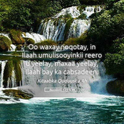 Picture 05 - Baxniintii 1:21 SOM - Oo waxay noqotay, in Ilaah umulisooyinkii reero u - Bible Verse Picture
