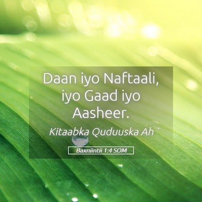 Picture 05 - Baxniintii 1:4 SOM - Daan iyo Naftaali, iyo Gaad iyo - Bible Verse Picture