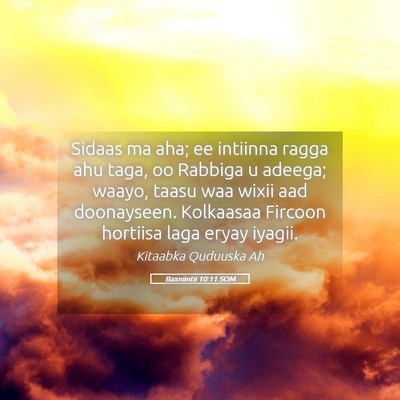 Picture 05 - Baxniintii 10:11 SOM - Sidaas ma aha; ee intiinna ragga ahu taga, oo - Bible Verse Picture