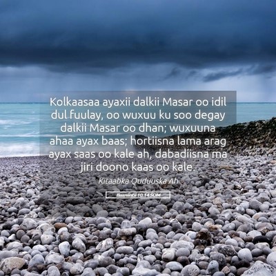 Picture 05 - Baxniintii 10:14 SOM - Kolkaasaa ayaxii dalkii Masar oo idil dul fuulay, - Bible Verse Picture