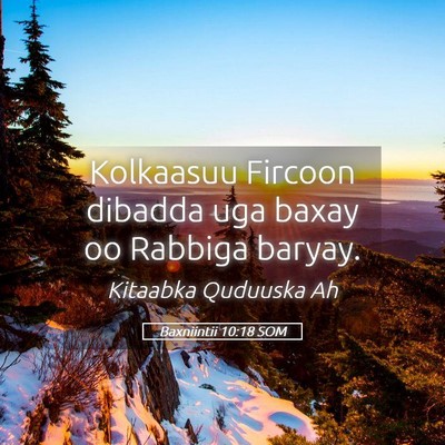 Picture 05 - Baxniintii 10:18 SOM - Kolkaasuu Fircoon dibadda uga baxay oo Rabbiga - Bible Verse Picture