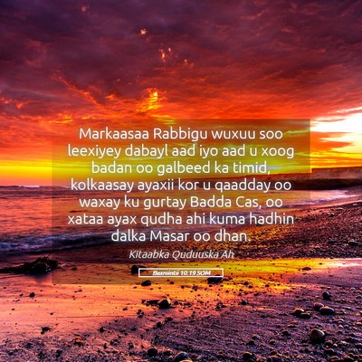 Picture 05 - Baxniintii 10:19 SOM - Markaasaa Rabbigu wuxuu soo leexiyey dabayl aad - Bible Verse Picture