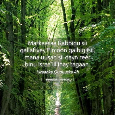 Picture 05 - Baxniintii 10:20 SOM - Markaasaa Rabbigu sii qallafiyey Fircoon - Bible Verse Picture