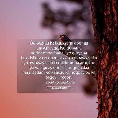 Picture 05 - Baxniintii 10:6 SOM - Oo wuxuu ka buuxsami doonaa guryahaaga, iyo - Bible Verse Picture
