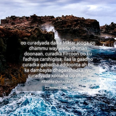 Picture 05 - Baxniintii 11:5 SOM - oo curadyada dalka Masar jooga oo dhammu way wada - Bible Verse Picture