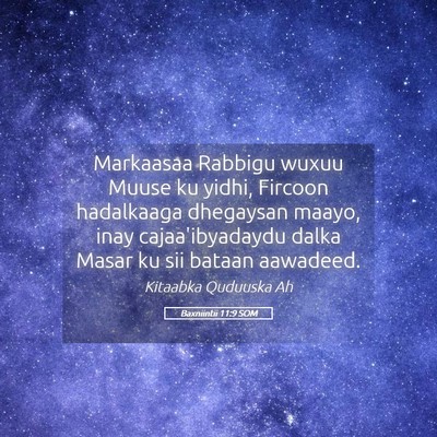 Picture 05 - Baxniintii 11:9 SOM - Markaasaa Rabbigu wuxuu Muuse ku yidhi, Fircoon - Bible Verse Picture