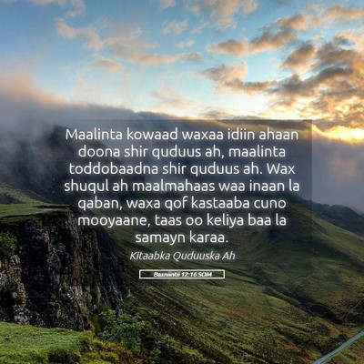 Picture 05 - Baxniintii 12:16 SOM - Maalinta kowaad waxaa idiin ahaan doona shir - Bible Verse Picture