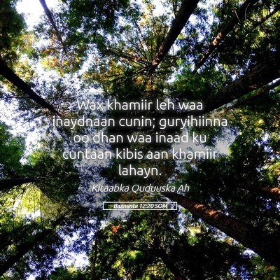 Picture 05 - Baxniintii 12:20 SOM - Wax khamiir leh waa inaydnaan cunin; guryihiinna - Bible Verse Picture