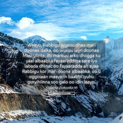 Picture 05 - Baxniintii 12:23 SOM - Waayo, Rabbigu wuxuu dhex mari doonaa dalka, oo - Bible Verse Picture