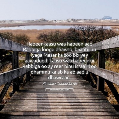 Picture 05 - Baxniintii 12:42 SOM - Habeenkaasu waa habeen aad Rabbiga loogu dhawro, - Bible Verse Picture