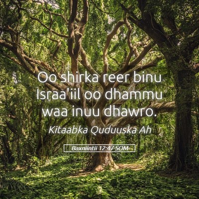 Picture 05 - Baxniintii 12:47 SOM - Oo shirka reer binu Israa'iil oo dhammu waa inuu - Bible Verse Picture