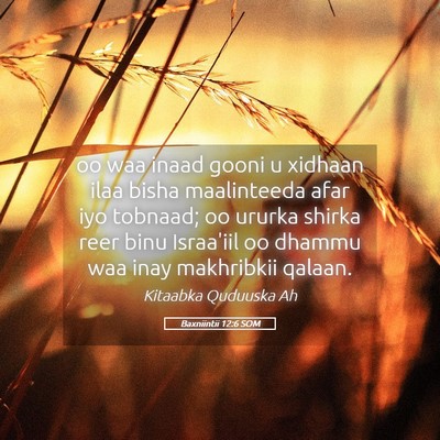Picture 05 - Baxniintii 12:6 SOM - oo waa inaad gooni u xidhaan ilaa bisha - Bible Verse Picture