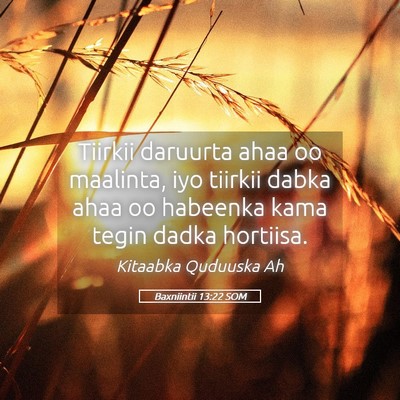 Picture 05 - Baxniintii 13:22 SOM - Tiirkii daruurta ahaa oo maalinta, iyo tiirkii - Bible Verse Picture