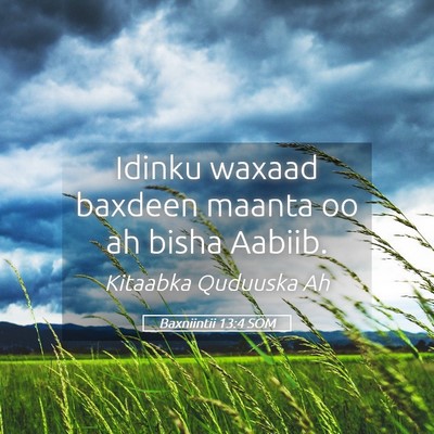 Picture 05 - Baxniintii 13:4 SOM - Idinku waxaad baxdeen maanta oo ah bisha - Bible Verse Picture