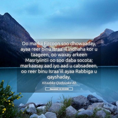 Picture 05 - Baxniintii 14:10 SOM - Oo markii Fircoon soo dhowaaday, ayaa reer binu - Bible Verse Picture