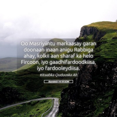 Picture 05 - Baxniintii 14:18 SOM - Oo Masriyiintu markaasay garan doonaan inaan - Bible Verse Picture
