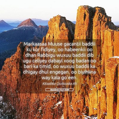 Picture 05 - Baxniintii 14:21 SOM - Markaasaa Muuse gacantii baddii ku kor fidiyey, - Bible Verse Picture