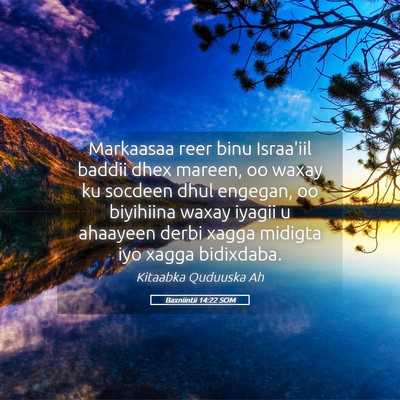 Picture 05 - Baxniintii 14:22 SOM - Markaasaa reer binu Israa'iil baddii dhex mareen, - Bible Verse Picture