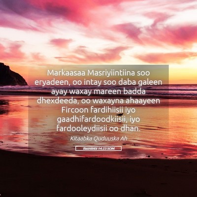 Picture 05 - Baxniintii 14:23 SOM - Markaasaa Masriyiintiina soo eryadeen, oo intay - Bible Verse Picture