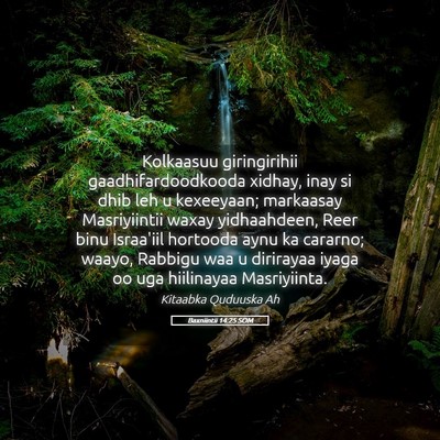 Picture 05 - Baxniintii 14:25 SOM - Kolkaasuu giringirihii gaadhifardoodkooda xidhay, - Bible Verse Picture